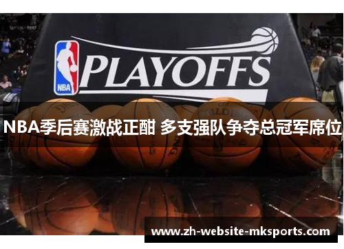 NBA季后赛激战正酣 多支强队争夺总冠军席位 NBA季后赛激战正酣 多支强队争夺总冠军席位